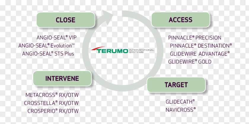 Peripheral Vascular System Wire Artery Disease Shunt Terumo Corporation PNG