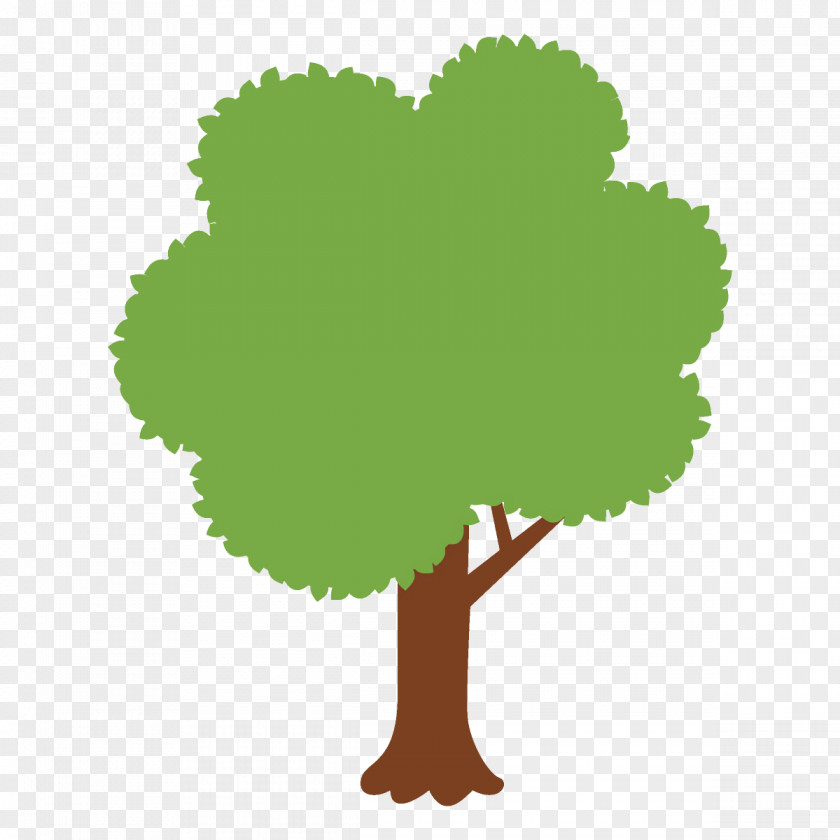 Symbol Woody Plant Arbor Day PNG