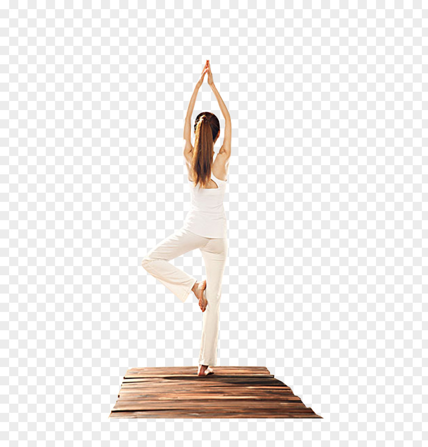 Yoga Download Icon PNG