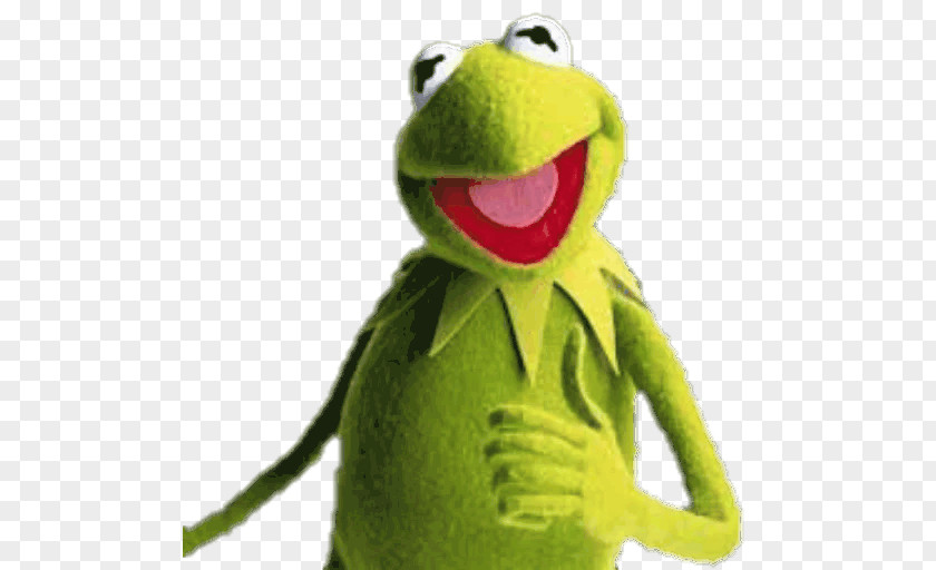 Frog Kermit The Miss Piggy Gonzo Fozzie Bear PNG