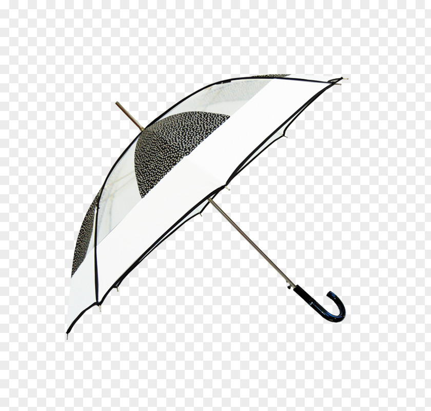Umbrella Line Angle PNG