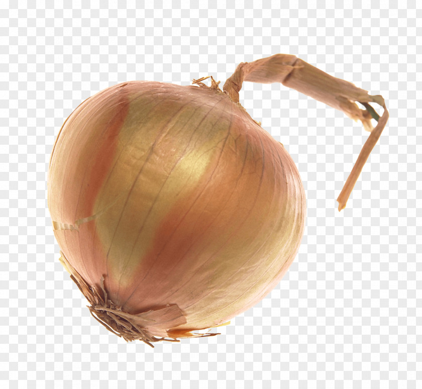An Onion Vegetable PNG