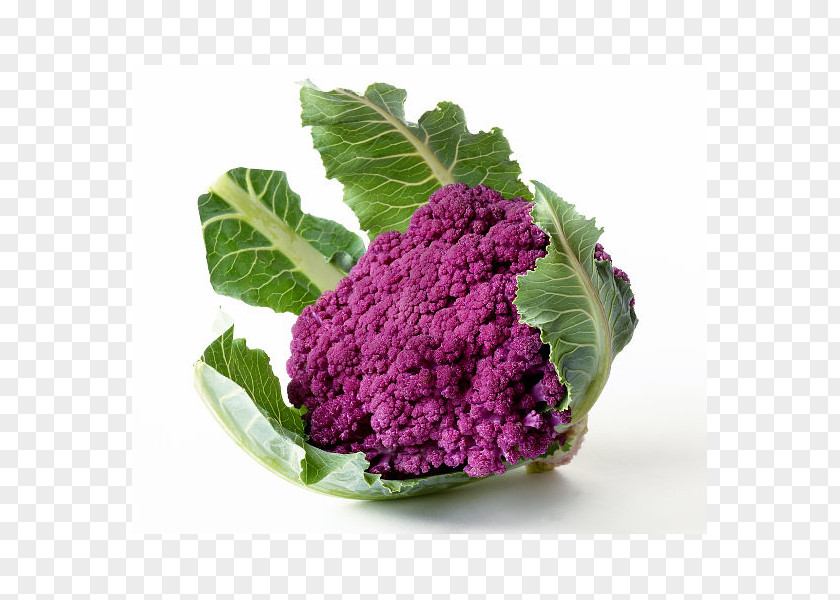Cauliflower Romanesco Broccoli Vegetable Fruit PNG