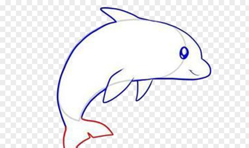 Jumping Whale Drawing Dolphin Cartoon How-to Clip Art PNG