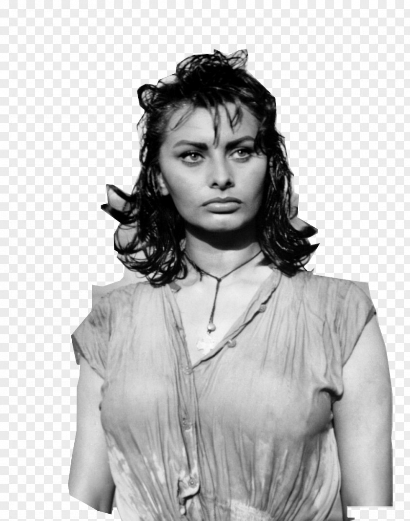 Actor Sophia Loren Boy On A Dolphin Photography PNG