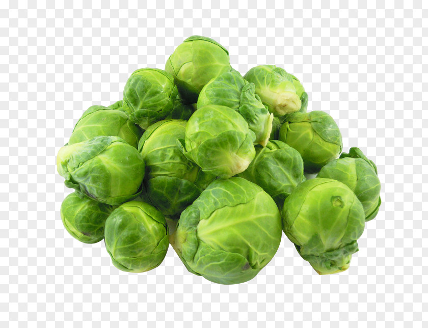 Cabbage Picture Material Brussels Sprout Red Broccoli Cauliflower PNG