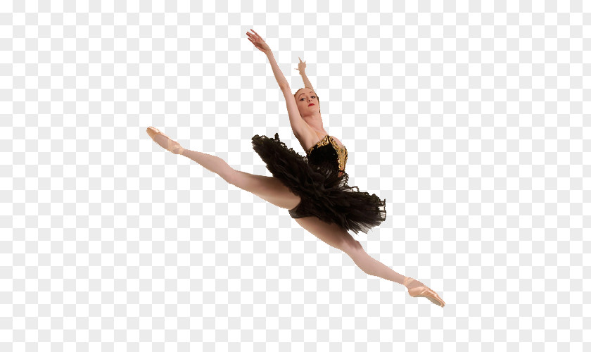 Dance Ballet Dancer Swan Lake American Theatre PNG