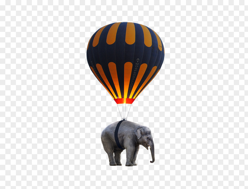 Elephant Motif Hot Air Ballooning Toy Balloon PNG