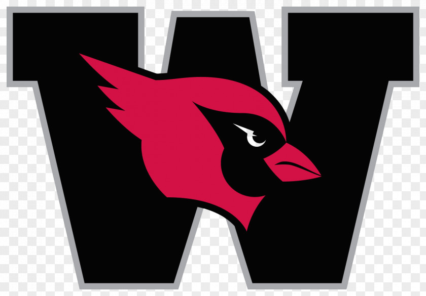 Lacrosse Wesleyan University Cardinals Football Athlete Sport New England Small College Athletic Conference PNG