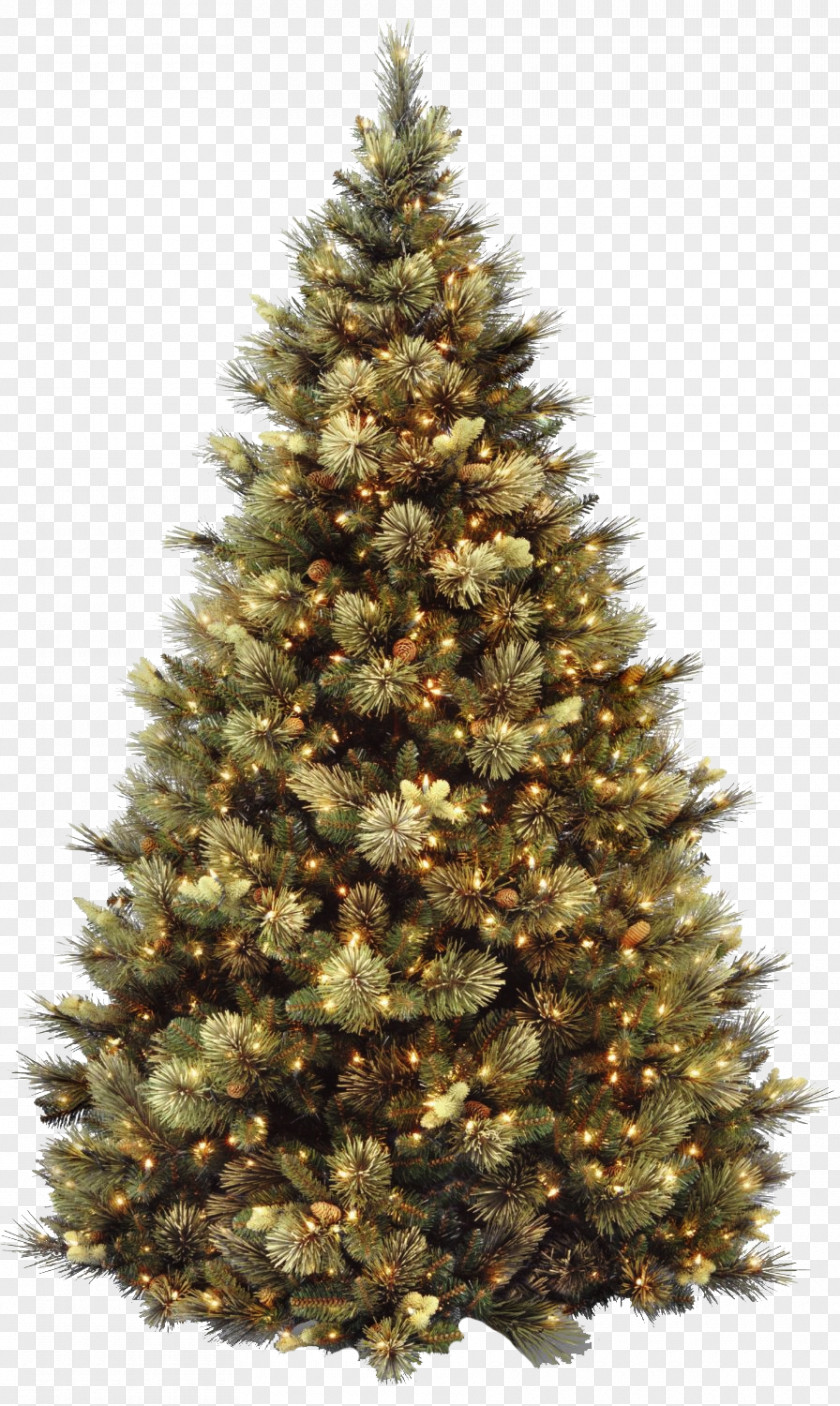 Bota Artificial Christmas Tree Pre-lit Day PNG