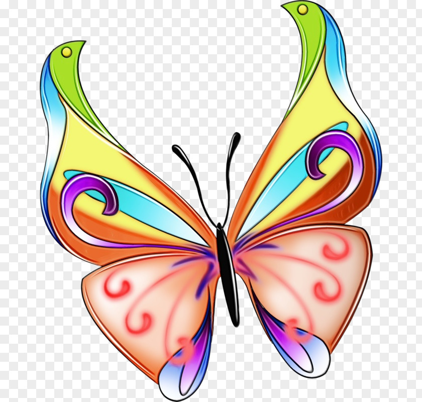 Butterfly Moths And Butterflies Insect Wing Pollinator PNG