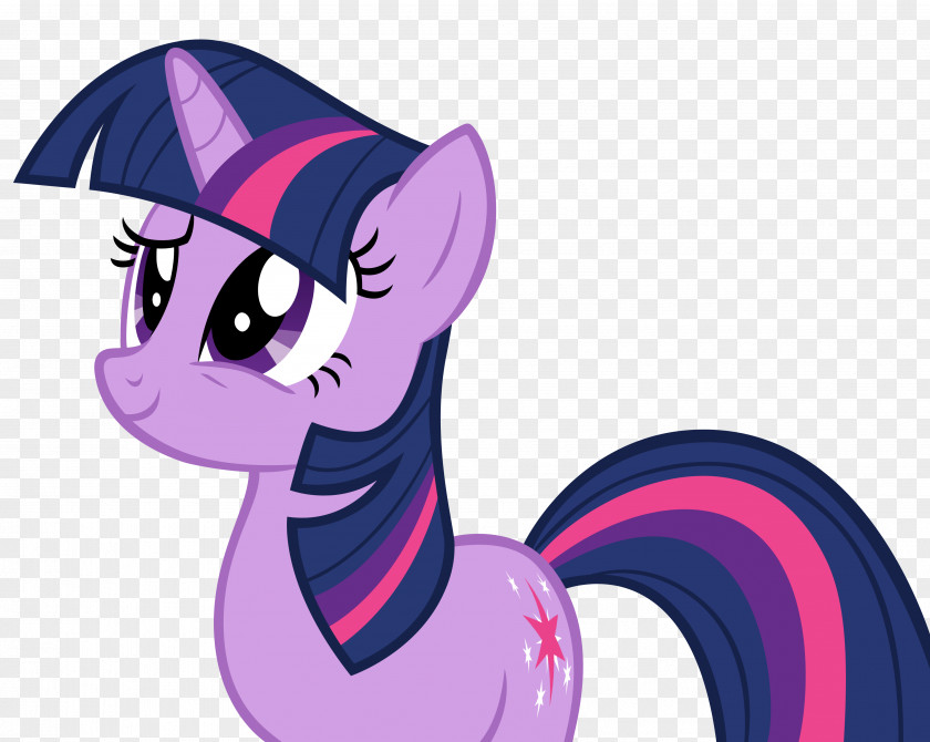 Contrail Twilight Sparkle Pony Rarity Princess Celestia Cadance PNG