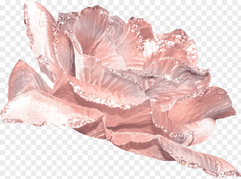 Ice Cut Flowers Pink Petal Grey PNG