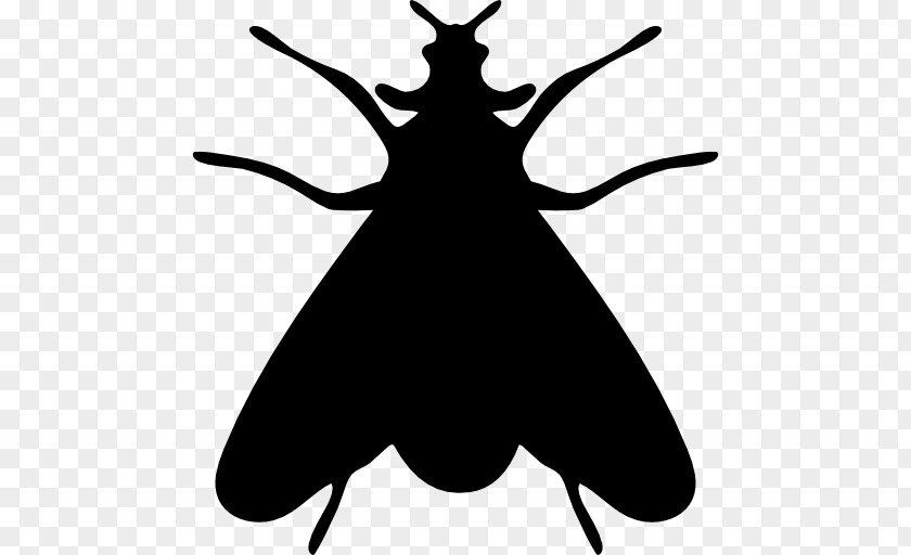 Insect Silhouette Fly PNG