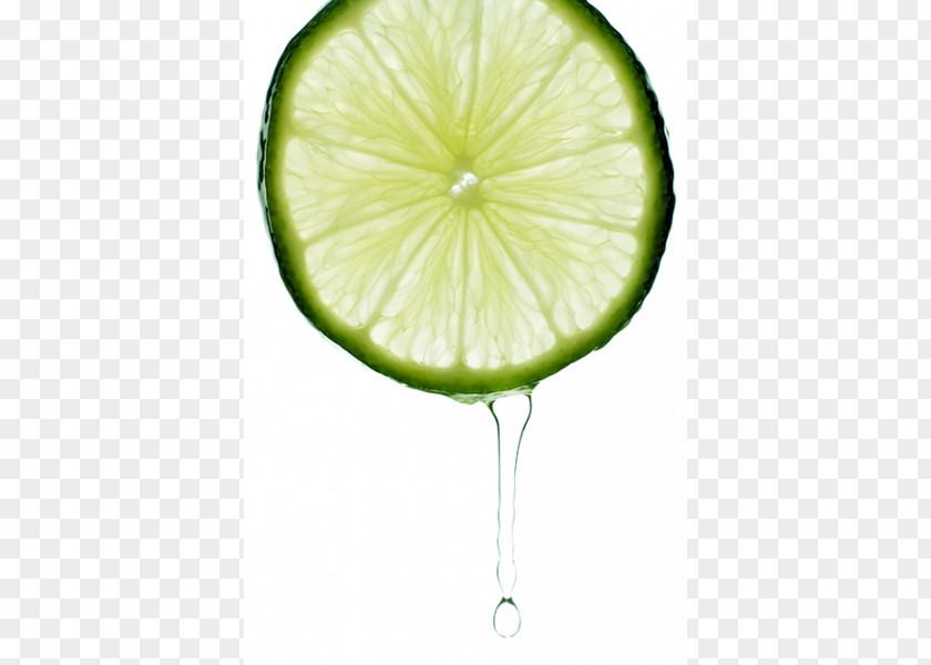 Lime Lemon-lime Drink Lemonade Key PNG
