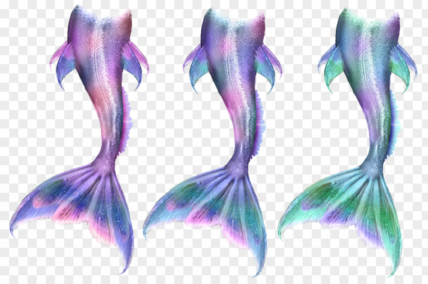 Mermaid Ariel Tail Siren Drawing PNG