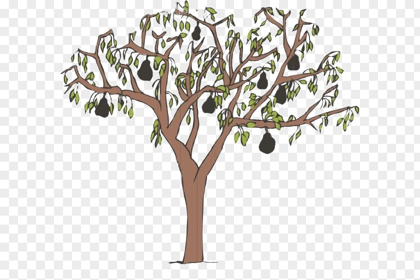 Pear Tree Vector Asian PNG