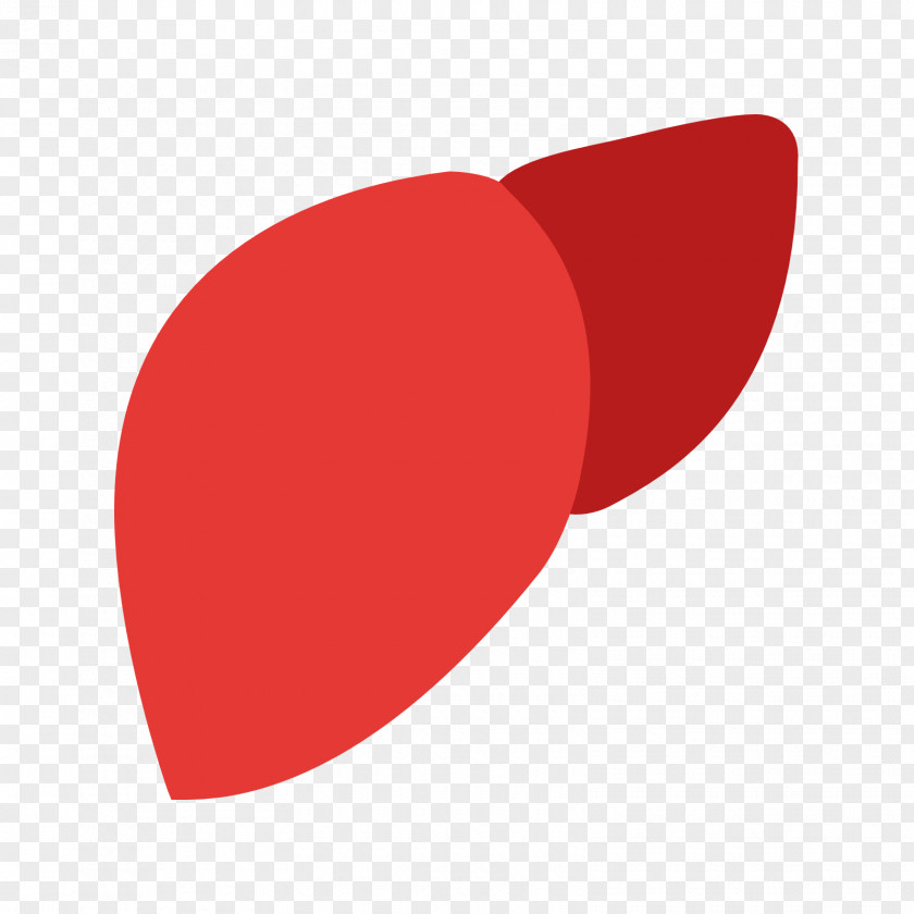 RED SHAPES Fatty Liver Large Intestine PNG