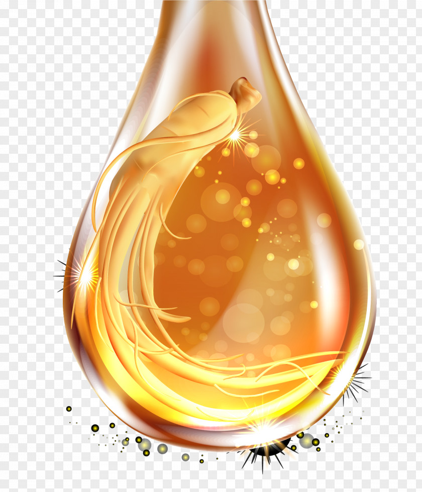 Vector Forcing Ginseng Material Essential Oil PNG