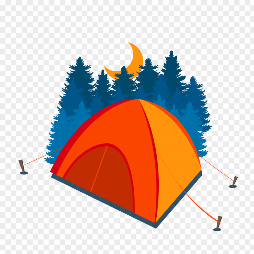 Vector Night Forest Stock Photography Clip Art PNG