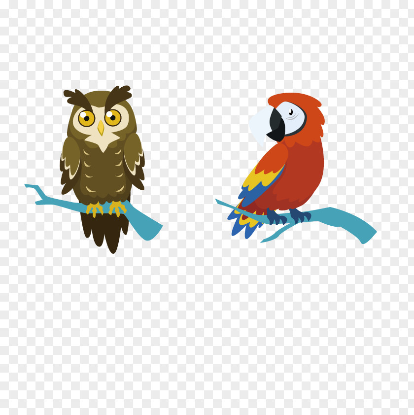 Vector Owl Bird Parrot Crows Macaw PNG