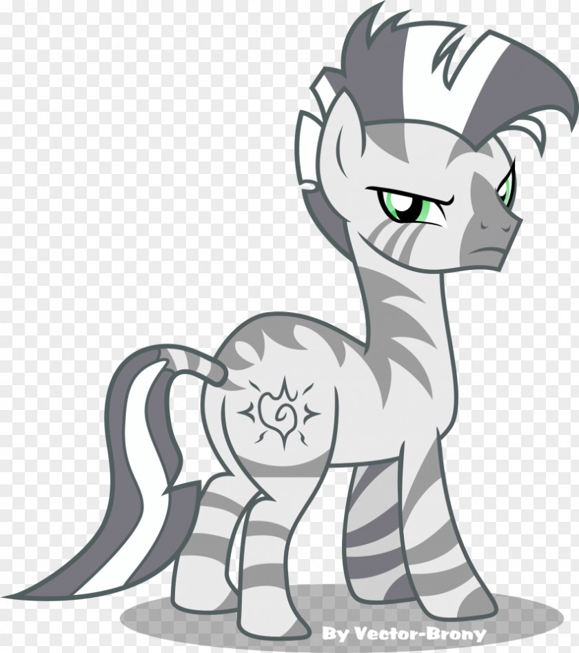 Zebra Horse My Little Pony: Friendship Is Magic Fandom Fallout: Equestria Rainbow Dash PNG