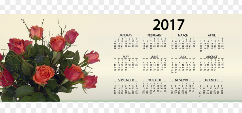 2017 Calendar Date 0 Leap Year 1 PNG