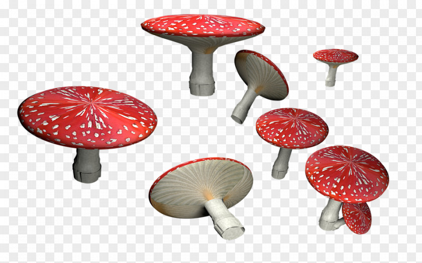 Amanita Muscaria HD Mushroom Fungus PNG