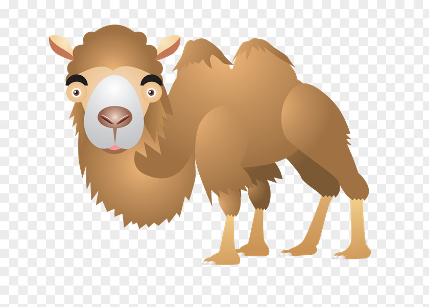 Camel Dromedary Sticker Clip Art PNG