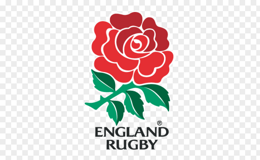 English Rose England National Rugby Union Team World Cup Australia Scotland Irish PNG