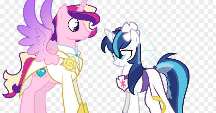 Horse My Little Pony: Friendship Is Magic Fandom Princess Cadance Gender PNG