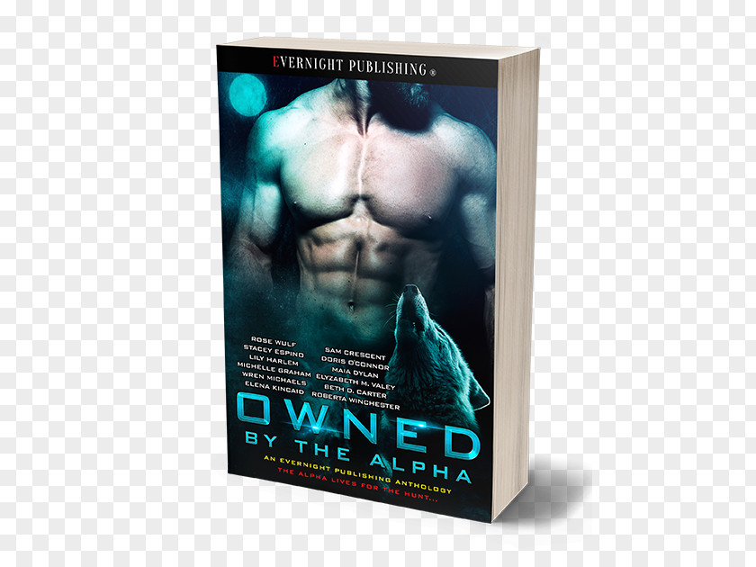 Owned By Night The Alpha Book Series Author Novel PNG