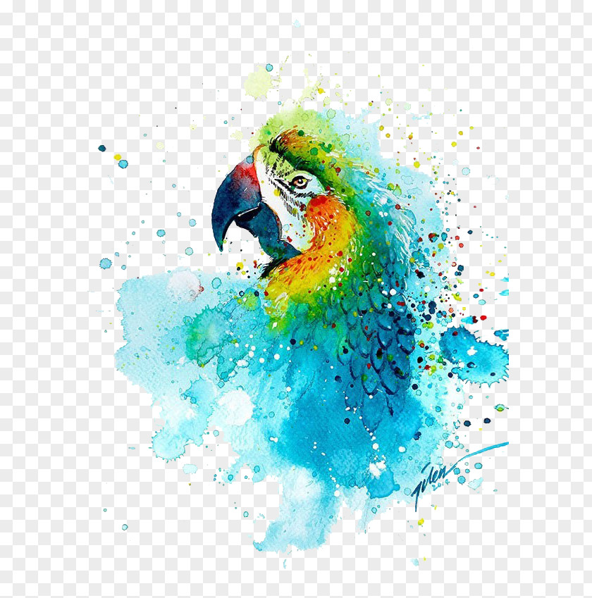 Parrot Watercolor Painting Art Printmaking Drawing PNG