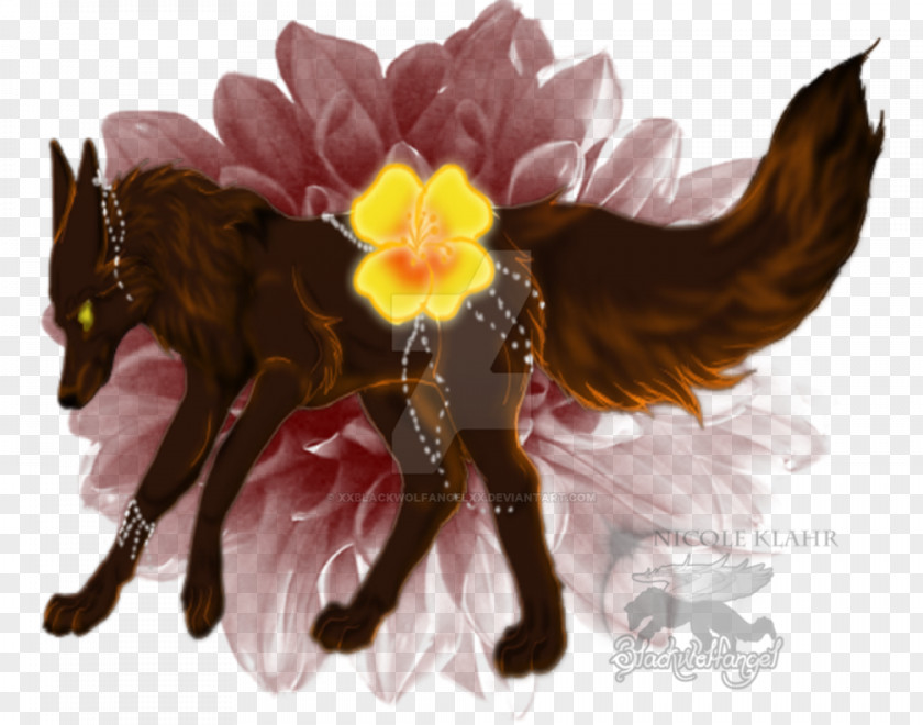 Brown Wolf Flowering Plant Plants PNG