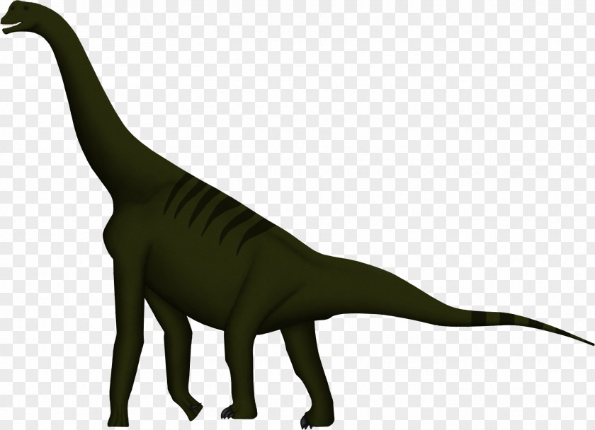 Dinosaur Atlasaurus Tyrannosaurus Brachiosaurus Cedarosaurus Allosaurus PNG