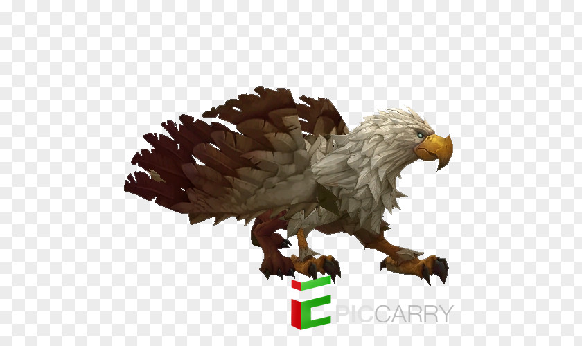 Eagle Hearthstone Animal World Of Warcraft Griffin PNG