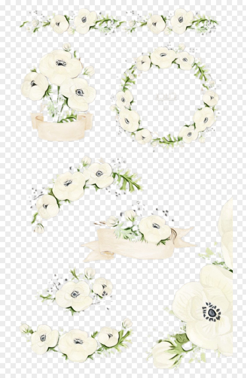 Flower Plant Cut Flowers PNG