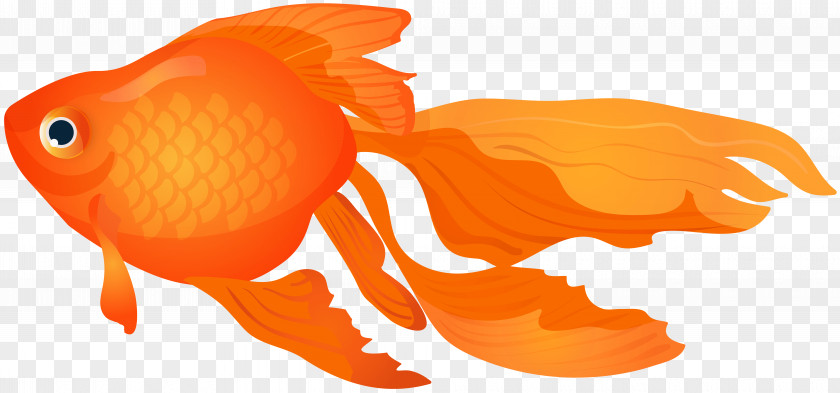 Goldfish Transparent Clip Art Image PNG