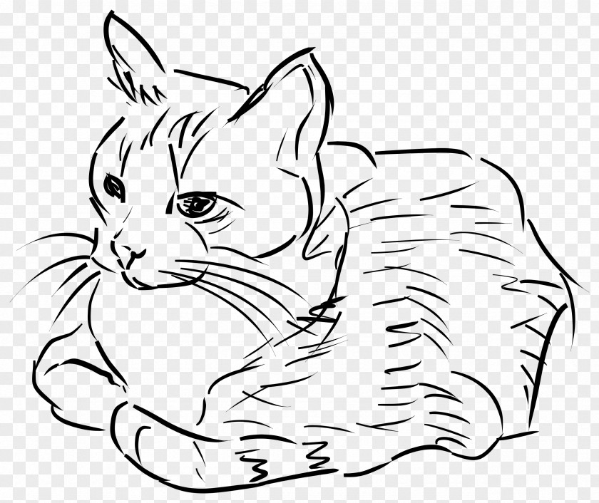 SKETCHES Cat Drawing Line Art Clip PNG