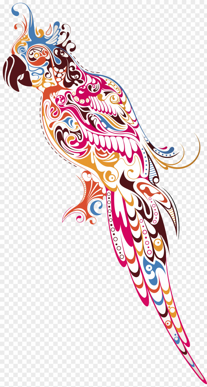 Watercolor Animals Parrot Bird Color Drawing PNG