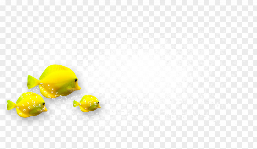 Beautiful Yellow Fish Desktop Wallpaper Close-up Body Jewellery Fruit PNG