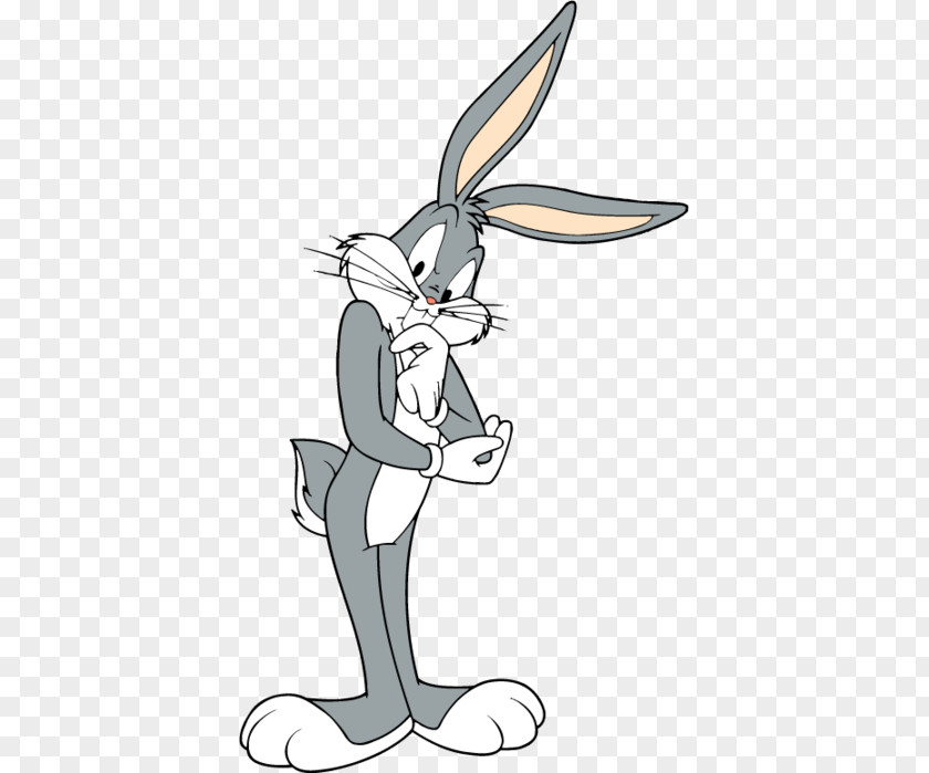 Bugs Bunny's Head Bunny Elmer Fudd Daffy Duck Tasmanian Devil Looney Tunes PNG