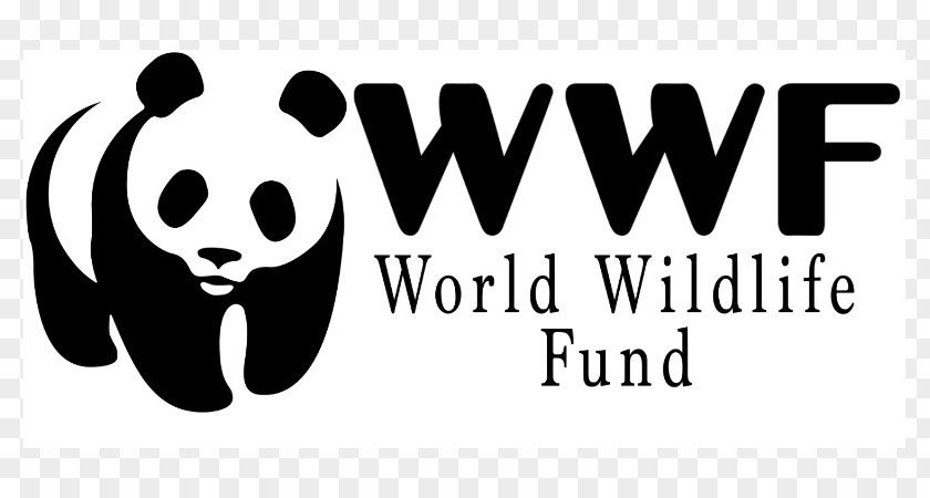 Giant Panda World Wide Fund For Nature Logo Conservation Organization PNG