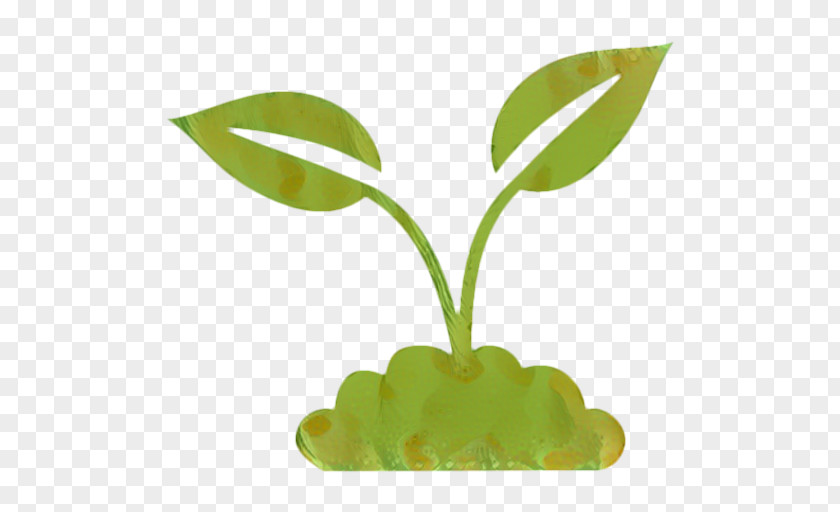 Leaf Plant Stem Plants PNG