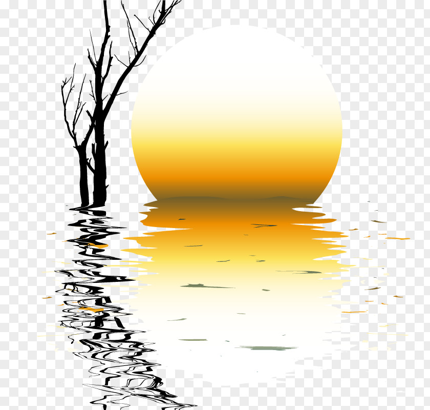 Sea Sunrise Picture Vector Material Flight Silhouette Download PNG