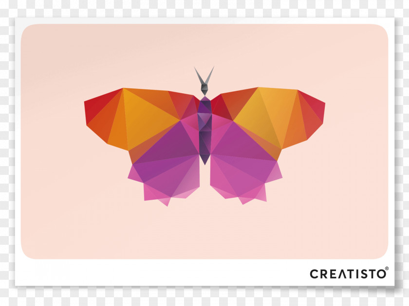Butterfly Insect Illustration Origami Graphics PNG