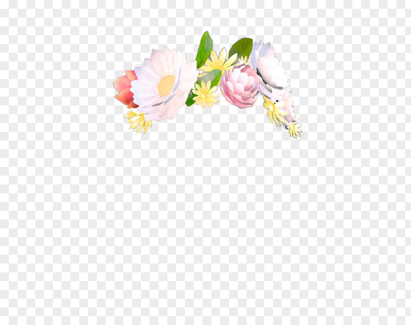 Fillter YouTube Flower Gfycat PNG