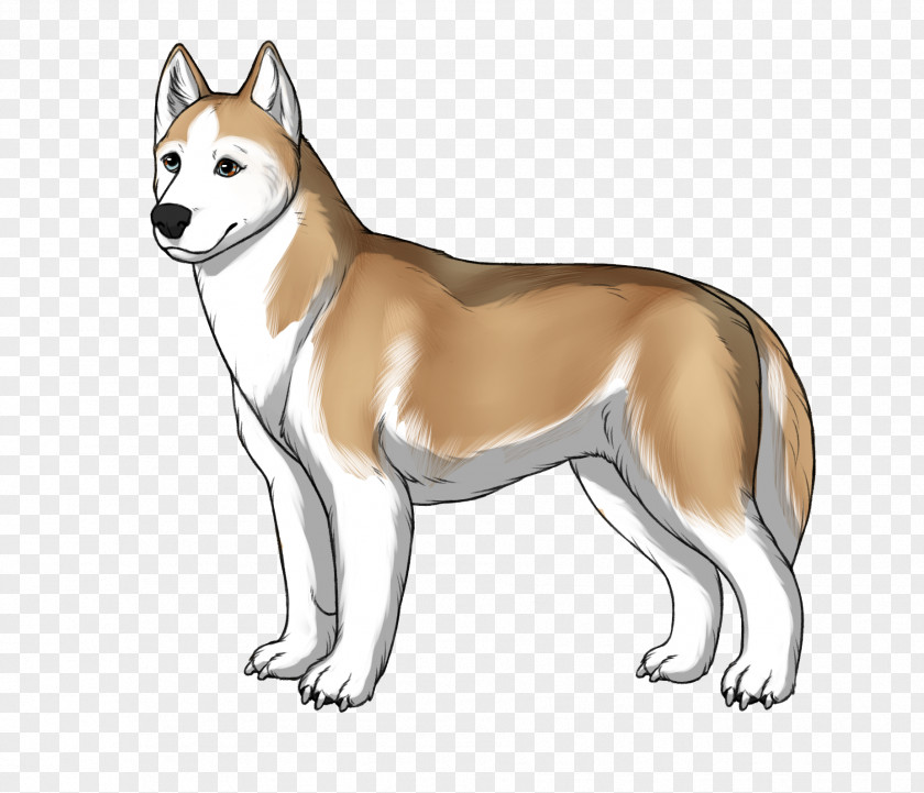 Kennel Siberian Husky Dog Breed Sakhalin Shikoku Canaan PNG