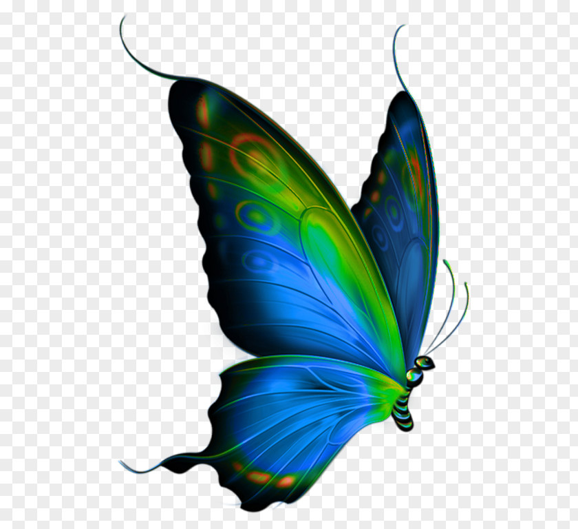 Painting Taobao Exquisite Butterfly Clip Art PNG
