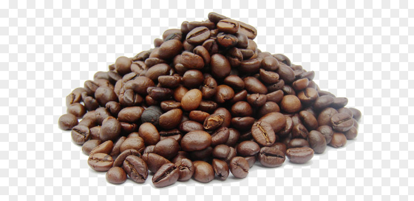A Pile Of Coffee Beans Picture Jamaican Blue Mountain Caffxe8 Mocha Monsooned Malabar Sidamo Province PNG